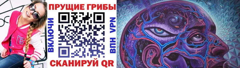 купить закладку  Трёхгорный  Псилоцибиновые грибы Psilocybine cubensis 